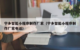 成都宁乡智能小程序制作厂家（宁乡智能小程序制作厂家电话）