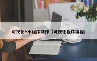成都可视化+小程序制作（可视化程序编程）
